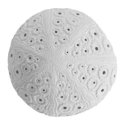 SEMA DESIGN Lampe Galet Shell Blanche En Porcelaine 7 SEMA DESIGN Lampe Galet Shell Blanche En Porcelaine -Sema Design Boutique 97514 DET02 WEB